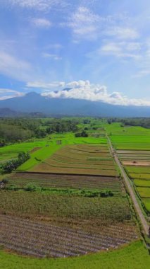 beautiful morning view indonesia panorama landscape paddy fields with beauty color and sky natural light