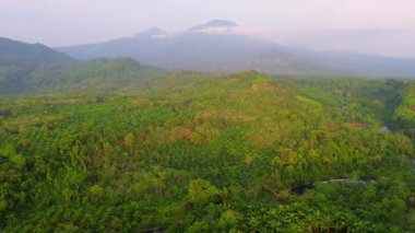 beautiful morning view indonesia panorama landscape paddy fields with beauty color and sky natural light