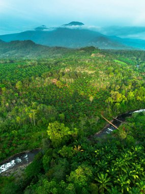 beautiful morning view indonesia panorama landscape paddy fields with beauty color and sky natural light