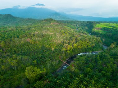 beautiful morning view indonesia panorama landscape paddy fields with beauty color and sky natural light