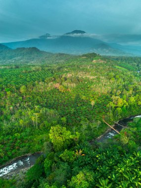 beautiful morning view indonesia panorama landscape paddy fields with beauty color and sky natural light