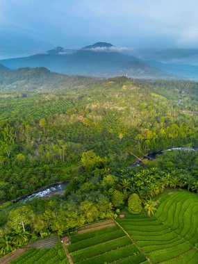 beautiful morning view indonesia panorama landscape paddy fields with beauty color and sky natural light