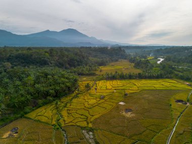 beautiful morning view indonesia panorama landscape paddy fields with beauty color and sky natural light