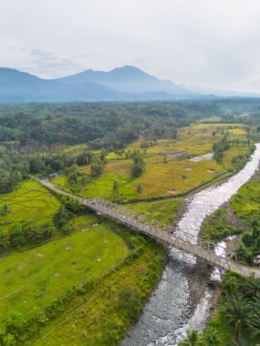 beautiful morning view indonesia panorama landscape paddy fields with beauty color and sky natural light