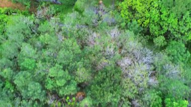 beautiful morning view indonesia panorama landscape paddy fields with beauty color and sky natural light