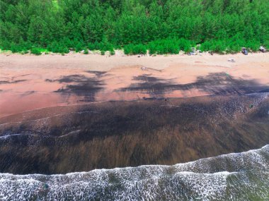 Endonezya sahilinin doğal manzarası, açık bir sabahta beyaz kum ve mavi deniz.