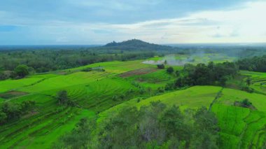 beautiful morning view indonesia panorama landscape paddy fields with beauty color and sky natural light