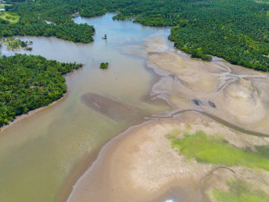 beautiful morning view indonesia panorama landscape paddy fields with beauty color and sky natural light