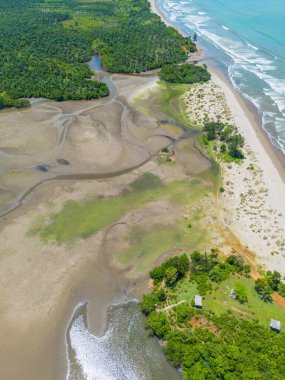 beautiful morning view indonesia panorama landscape paddy fields with beauty color and sky natural light