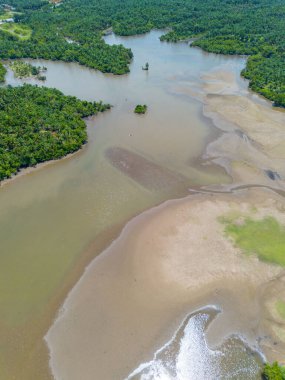 beautiful morning view indonesia panorama landscape paddy fields with beauty color and sky natural light