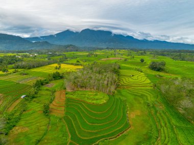 beautiful morning view indonesia panorama landscape paddy fields with beauty color and sky natural light