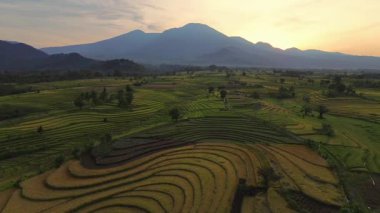 beautiful morning view indonesia panorama landscape paddy fields with beauty color and sky natural light