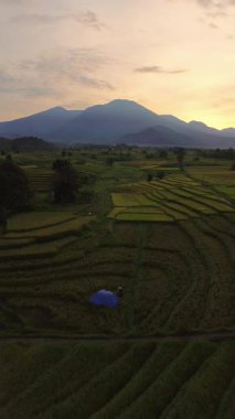 beautiful morning view indonesia panorama landscape paddy fields with beauty color and sky natural light