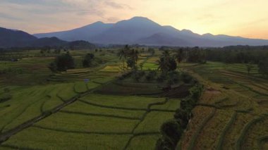 beautiful morning view indonesia panorama landscape paddy fields with beauty color and sky natural light