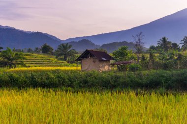 Güzel bir sabah manzarası Endonezya manzara plajı güzellik rengi ve gökyüzü doğal ışığı