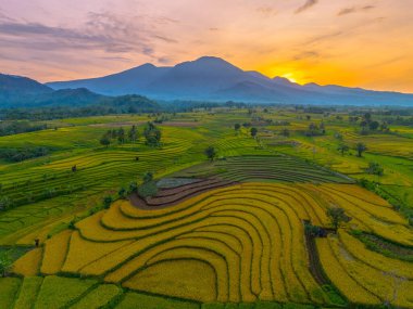 Güzel bir sabah manzarası Endonezya manzara plajı güzellik rengi ve gökyüzü doğal ışığı