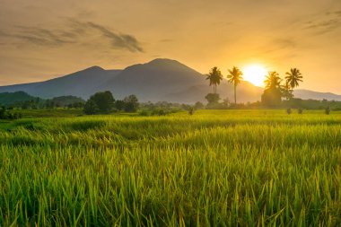 Güzel bir sabah manzarası Endonezya manzara plajı güzellik rengi ve gökyüzü doğal ışığı