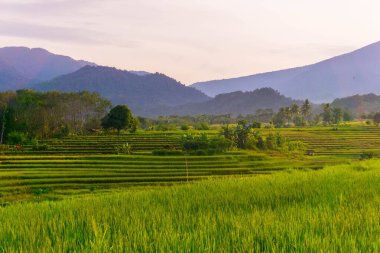 Güzel bir sabah manzarası Endonezya manzara plajı güzellik rengi ve gökyüzü doğal ışığı