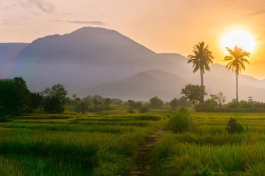 Güzel bir sabah manzarası Endonezya manzara plajı güzellik rengi ve gökyüzü doğal ışığı