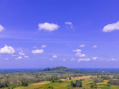 beautiful morning view indonesia panorama landscape paddy fields  with beauty color and sky natural light
