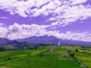 beautiful morning view indonesia panorama landscape paddy fields  with beauty color and sky natural light