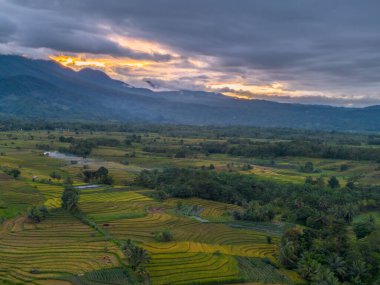 beautiful morning view indonesia panorama landscape paddy fields  with beauty color and sky natural light