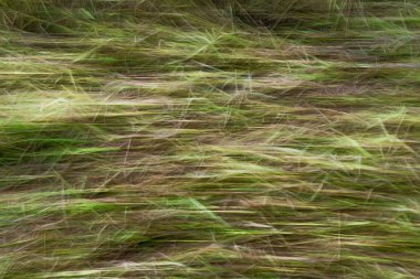 beautiful morning view indonesia panorama landscape paddy fields  with beauty color and sky natural light