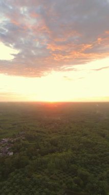 beautiful morning view indonesia panorama landscape paddy fields with beauty color and sky natural light
