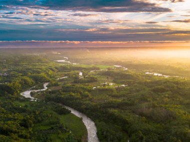 Endonezya tarım endüstrisinin güzel sabah manzarası güzel gökyüzü renkleriyle pirinç tarlaları doğal ışık