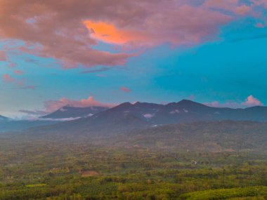 Endonezya tarım endüstrisinin güzel sabah manzarası güzel gökyüzü renkleriyle pirinç tarlaları doğal ışık