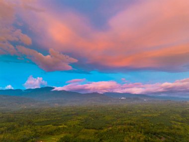 Endonezya tarım endüstrisinin güzel sabah manzarası güzel gökyüzü renkleriyle pirinç tarlaları doğal ışık