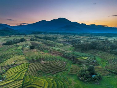 Endonezya tarım endüstrisinin güzel sabah manzarası güzel gökyüzü renkleriyle pirinç tarlaları doğal ışık