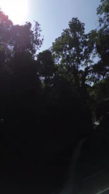 Endonezya 'da Dağları ve Şelaleleri olan Tropikal Yeşil Ormanların Doğal Güzelliği