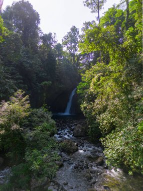 Endonezya 'da Dağları ve Şelaleleri olan Tropikal Yeşil Ormanların Doğal Güzelliği
