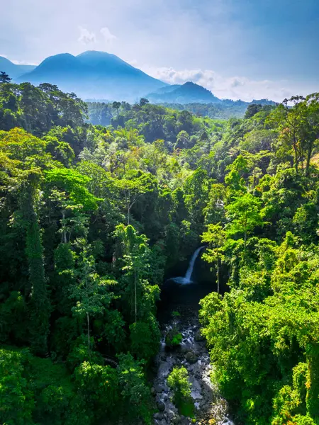 Endonezya 'da Dağları ve Şelaleleri olan Tropikal Yeşil Ormanların Doğal Güzelliği