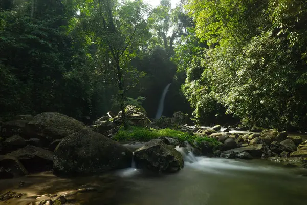 Endonezya 'da Dağları ve Şelaleleri olan Tropikal Yeşil Ormanların Doğal Güzelliği
