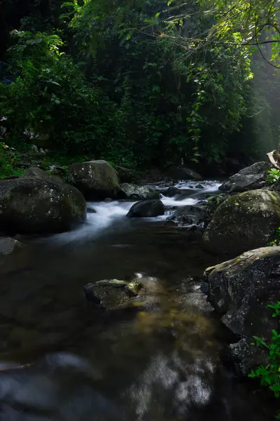 Endonezya 'da Dağları ve Şelaleleri olan Tropikal Yeşil Ormanların Doğal Güzelliği