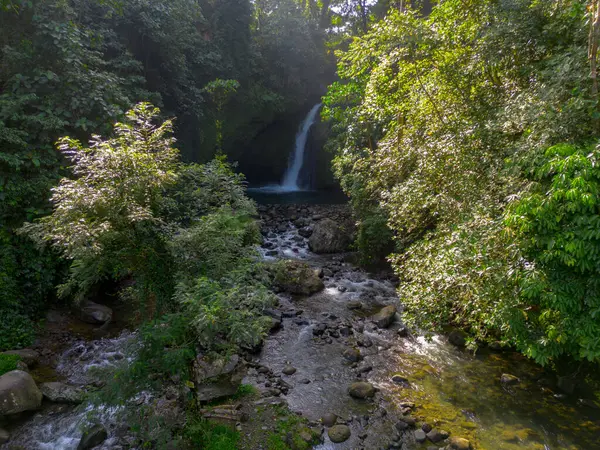 Endonezya 'da Dağları ve Şelaleleri olan Tropikal Yeşil Ormanların Doğal Güzelliği