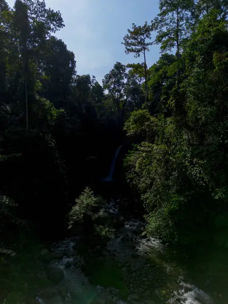 Endonezya 'da Dağları ve Şelaleleri olan Tropikal Yeşil Ormanların Doğal Güzelliği