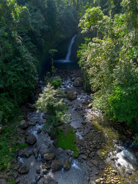 Endonezya 'da Dağları ve Şelaleleri olan Tropikal Yeşil Ormanların Doğal Güzelliği