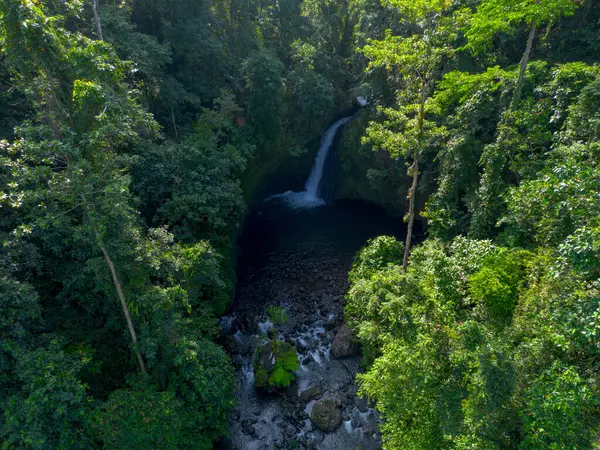 Endonezya 'da Dağları ve Şelaleleri olan Tropikal Yeşil Ormanların Doğal Güzelliği