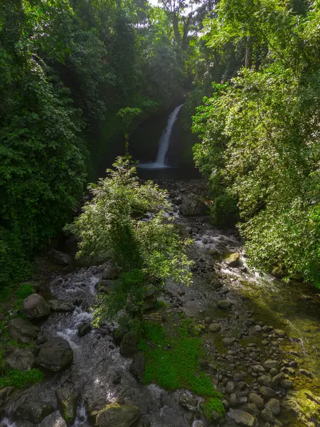 Endonezya 'da Dağları ve Şelaleleri olan Tropikal Yeşil Ormanların Doğal Güzelliği