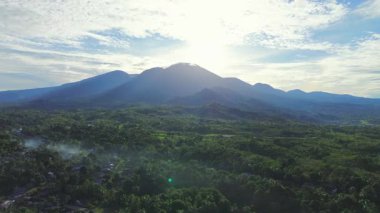 Endonezya tarım endüstrisinin güzel sabah manzarası güzel gökyüzü renkleriyle pirinç tarlaları doğal ışık
