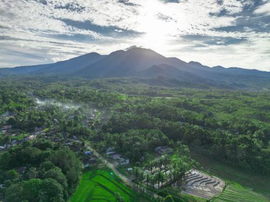 Endonezya tarım endüstrisinin güzel sabah manzarası güzel gökyüzü renkleriyle pirinç tarlaları doğal ışık