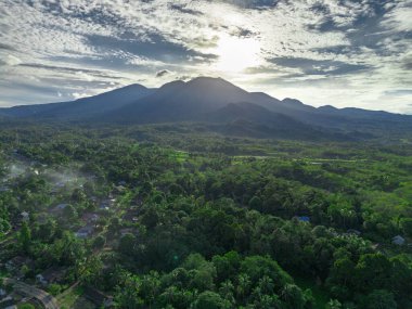 Endonezya tarım endüstrisinin güzel sabah manzarası güzel gökyüzü renkleriyle pirinç tarlaları doğal ışık