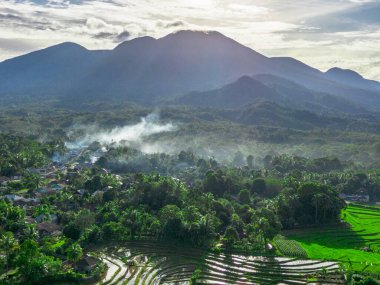 Endonezya tarım endüstrisinin güzel sabah manzarası güzel gökyüzü renkleriyle pirinç tarlaları doğal ışık