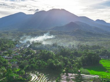Endonezya tarım endüstrisinin güzel sabah manzarası güzel gökyüzü renkleriyle pirinç tarlaları doğal ışık