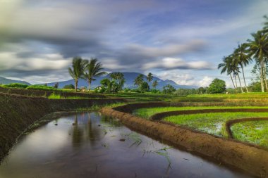 Yasa dışı ağaç kesiminden zarar gören doğal yeşil orman ve tarım arazisi arasındaki kontrastı gösteren hava fotoğrafı. Çevresel hasarı, ormanların yok oluşunu ve doğanın korunmasının önemini gösteriyor.