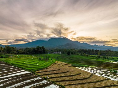 Güzel bir sabah manzarası Endonezya manzara plajı güzellik rengi ve gökyüzü doğal ışığı