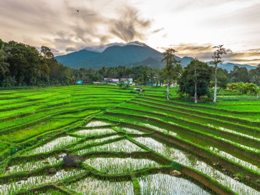 Güzel bir sabah manzarası Endonezya manzara plajı güzellik rengi ve gökyüzü doğal ışığı